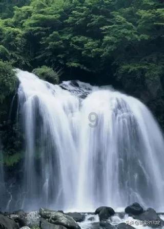 进结镇：种草也走高科技 牛羊口粮不用愁